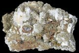 Pyrite On Calcite - El Hammam Mine, Morocco #80740-3